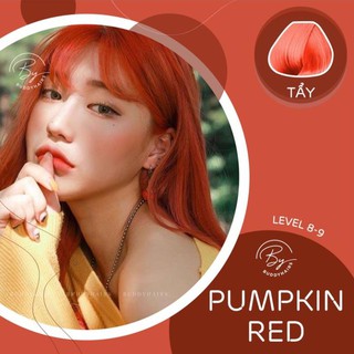 Thuốc nhuộm tóc màu Đỏ cam / Pumpkin Red được tặng kèm Thuốc tẩy tóc của buddyhairs