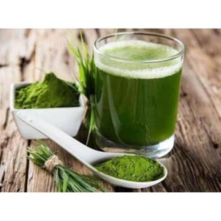 Bột trà lúa non Barley Nhật Bản