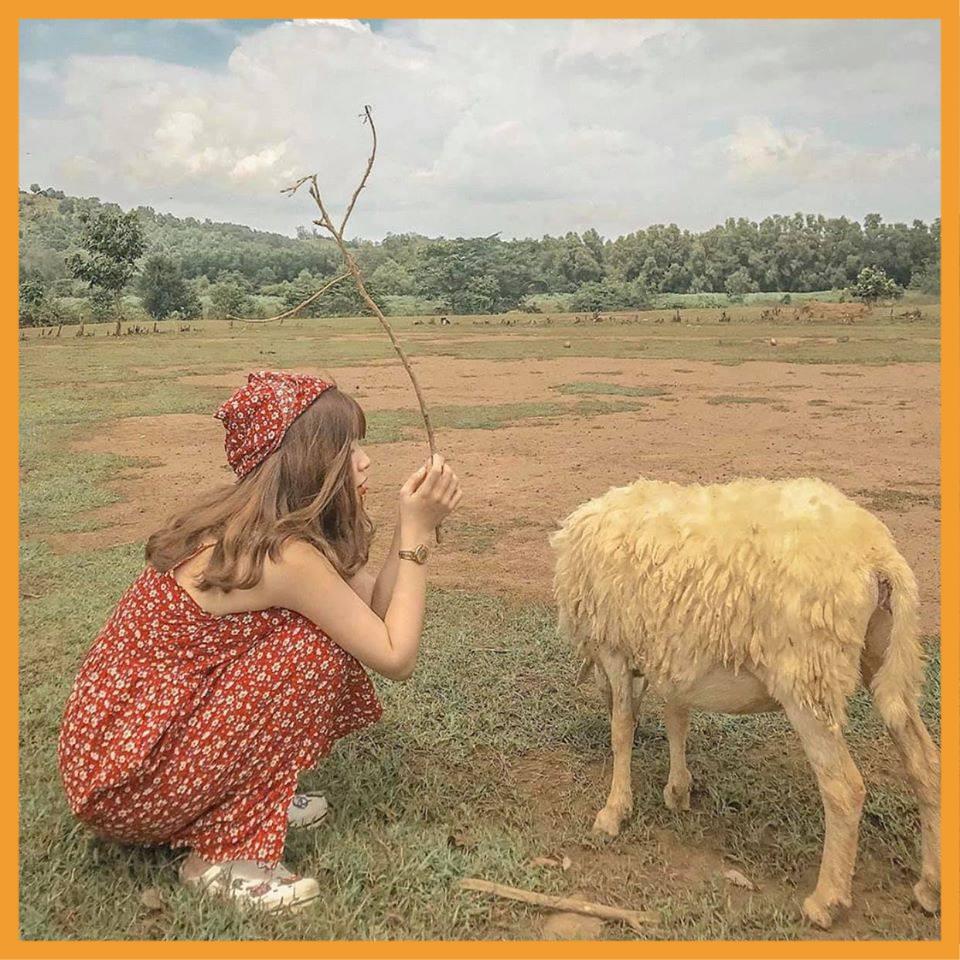 Đầm Hoa Nhí 2 Dây Nữ 🦋 Váy Dây Buộc Hoa Nhỏ 3 Màu 🦋 | BigBuy360 - bigbuy360.vn