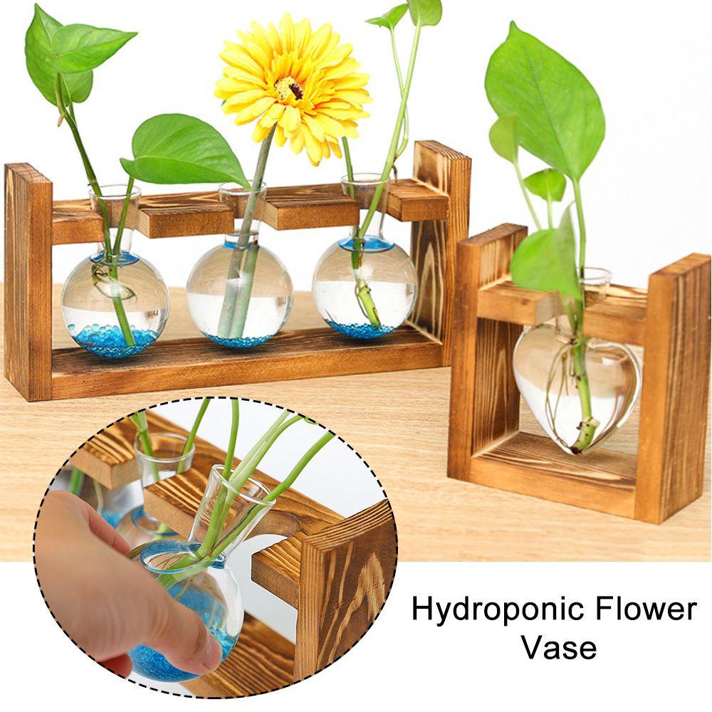 Chậu Hoa Thủy Canh Trong Suốt Khung Gỗ Dùng Trang Trí Văn Phòng