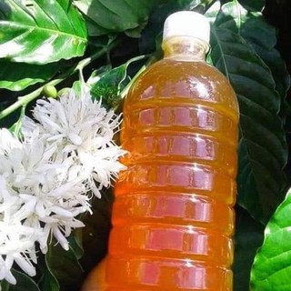 Mật ong hoa cà phê daklak