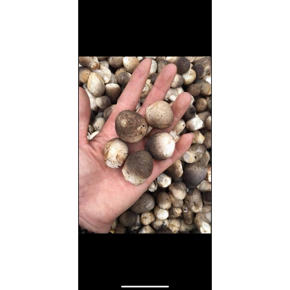 Nấm rơm 1kg