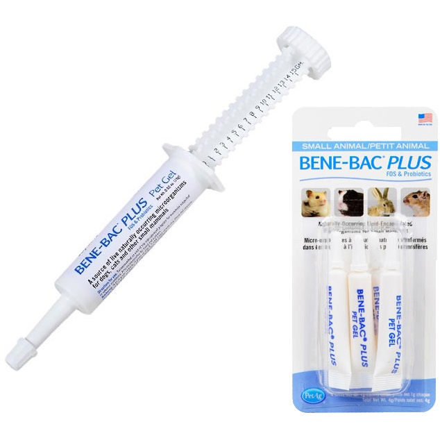PetAg Bene-Bac Gel men hỗ trợ tiêu hóa chó, mèo