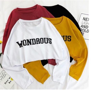 Áo thun croptop tay dài wond form rộng