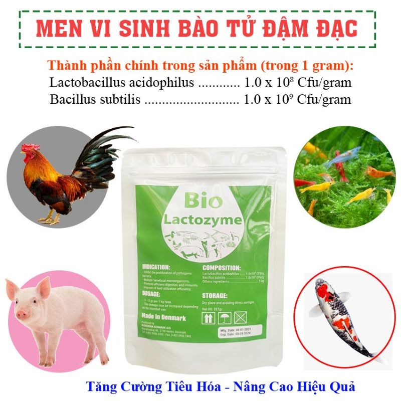 Men Vi Sinh Sống LACTOZYME  Kết hợp Lợi Khuẩn Lactobacillus&amp;Bacillus#227gram