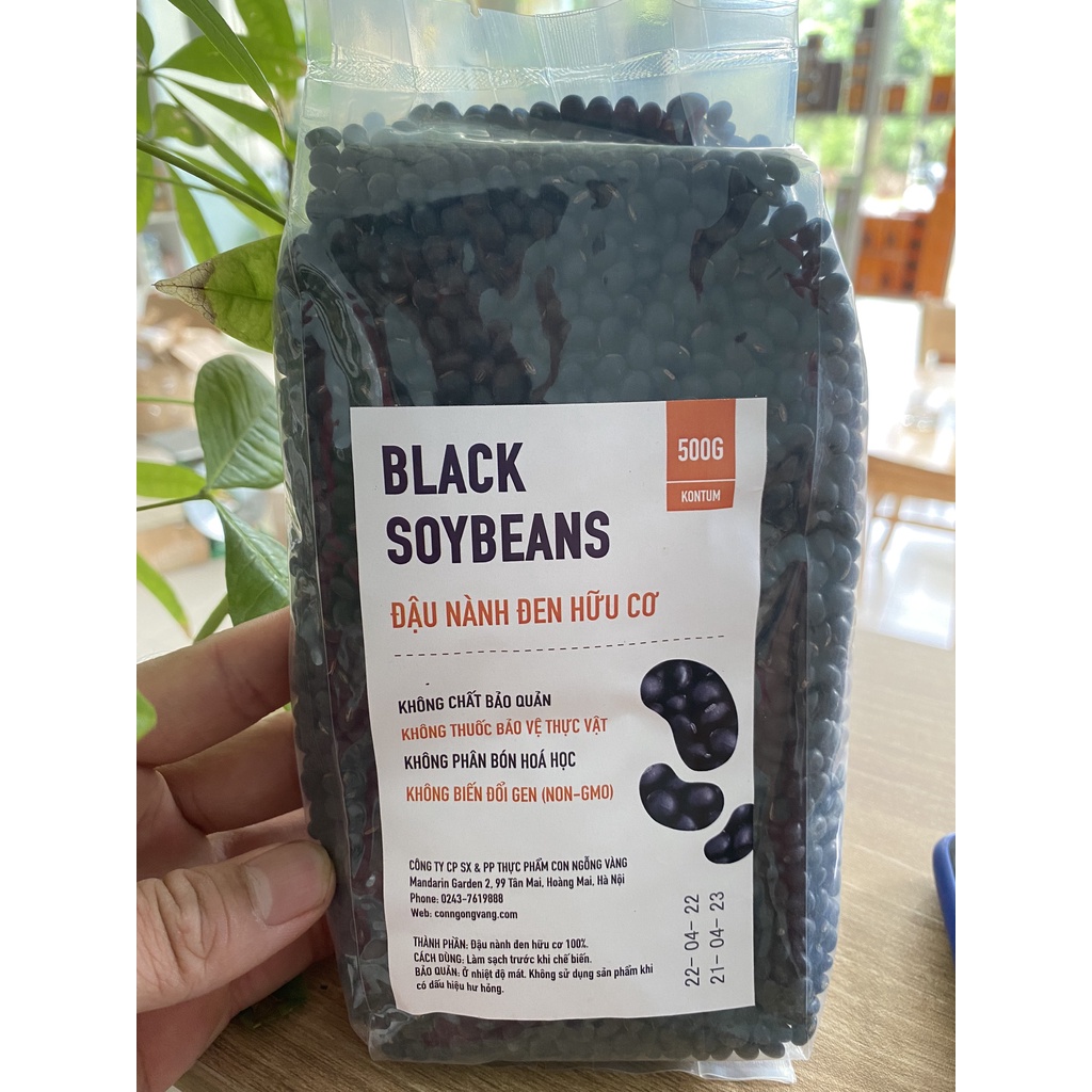 Đậu Nành Đen - Đậu Tương Đen Thuần Chủng