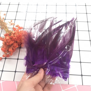 Lông làm dreamcatcher/ khuyên tai (18-20c)