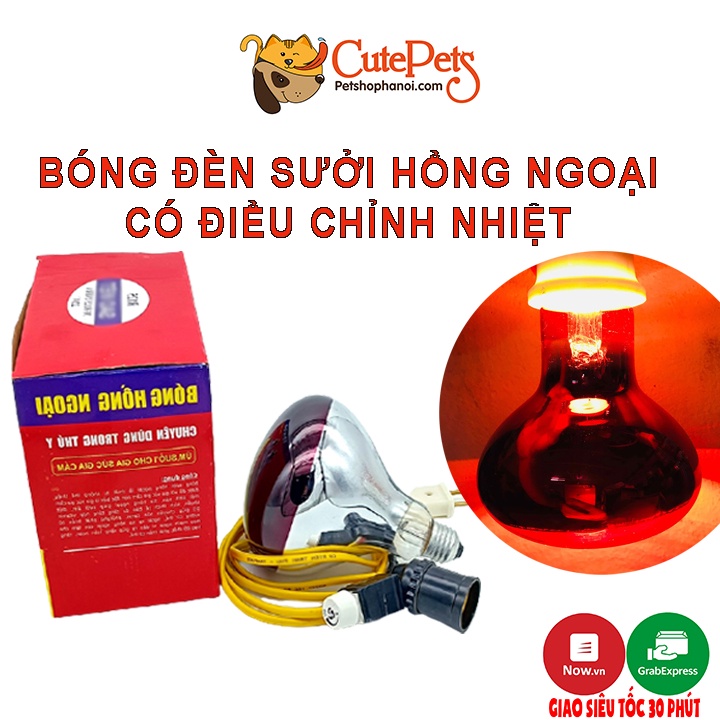 Đèn sưởi cho mèo, Bóng sưởi hồng ngoại cho chó có điều chỉnh nhiệt - Phụ kiện thú cưng Hà Nội