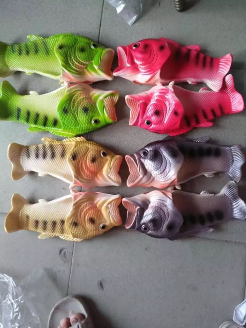 Dép cá ( Hàng sẵn )