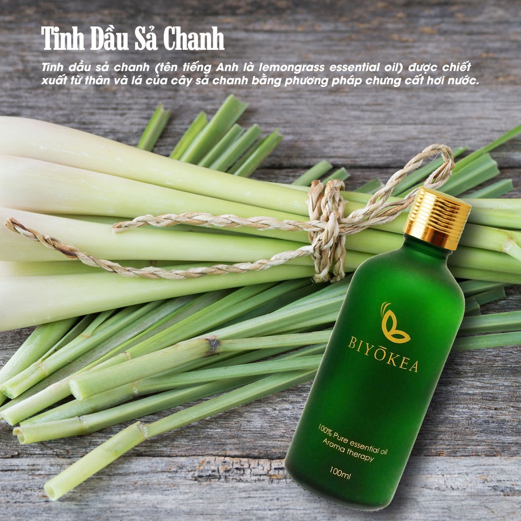 [Mã SKAMLTSM9 giảm 10% đơn 99K] Tinh dầu sả chanh, tinh dầu xông phòng 100ml, biyokea