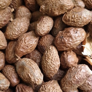 Hạt ươi sẻ kèm é( sản phẩm dùng thử)