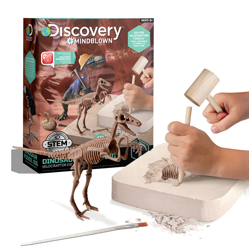 Bộ Đồ Chơi DISCOVERY Khảo Cổ Truy Tìm Xương Khủng Long - Velociraptor 1423004881