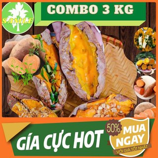 combo 3 ký khoai loại lớn để nướng từ 4 đến 6 củ