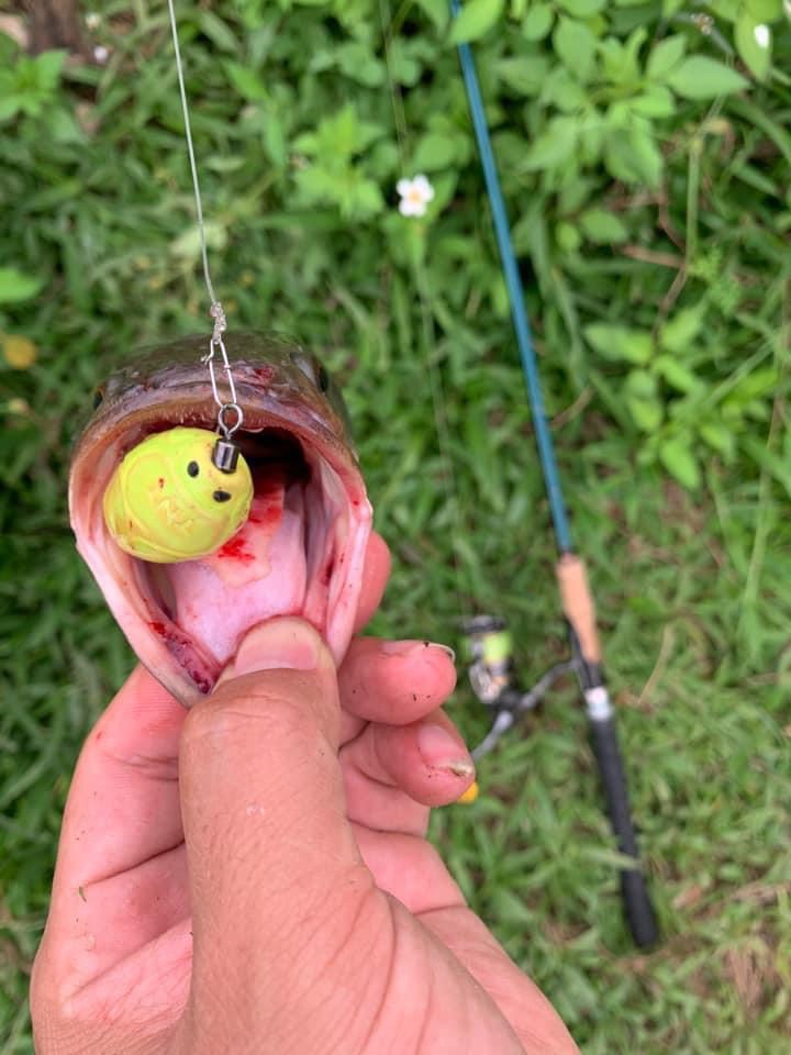 Mồi giả lure nhái hơi câu cá TNT CC40 (40mm-7g) Action nổi