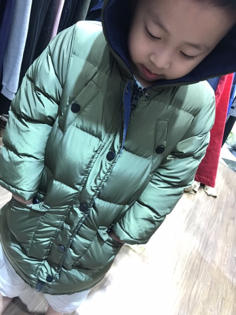 Áp lông vũ mặc hai mặt bluedog