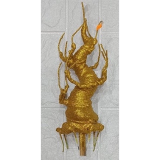 Gốc vàng bv3 cao 30cm 13 nhánh