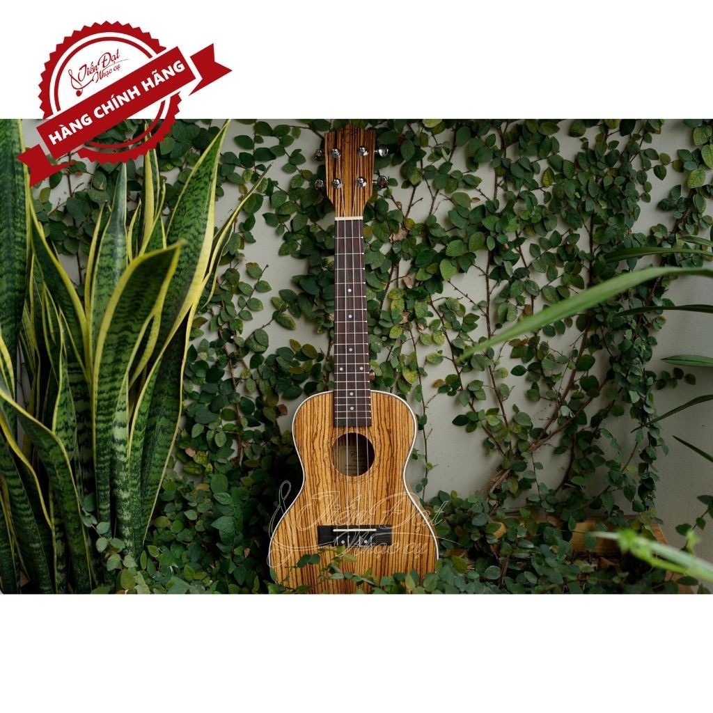 Đàn Ukulele Concert Chard U 24INCH Gỗ Gụ Cao Cấp Siêu Bền Chính Hãng - Full phụ kiện - Bảo hành 12 tháng