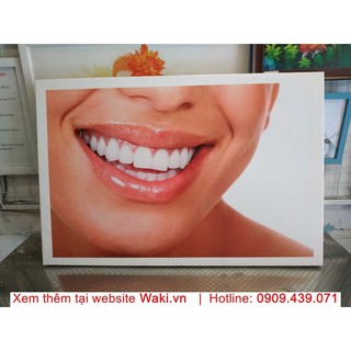 Tranh treo tường trang trí phòng khám nha khoa, nhiều mẫu đẹp, giá hấp dẫn