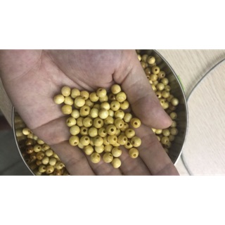 500g hạt dâu tằm thân đẹp