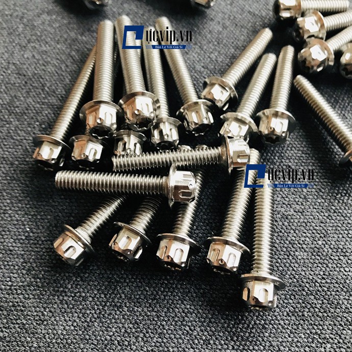Bộ Ốc Máy Salaya Dành Cho Raider, Satria 150 MS1888
