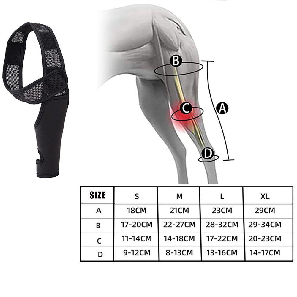 Lanfy Đai Đeo Đùi Bằng Vải Lưới Thoáng Khí Bảo Vệ Vết Thương Chống Limbs Dành Cho Chó