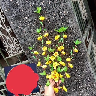 Hoa  Mai Đào tết