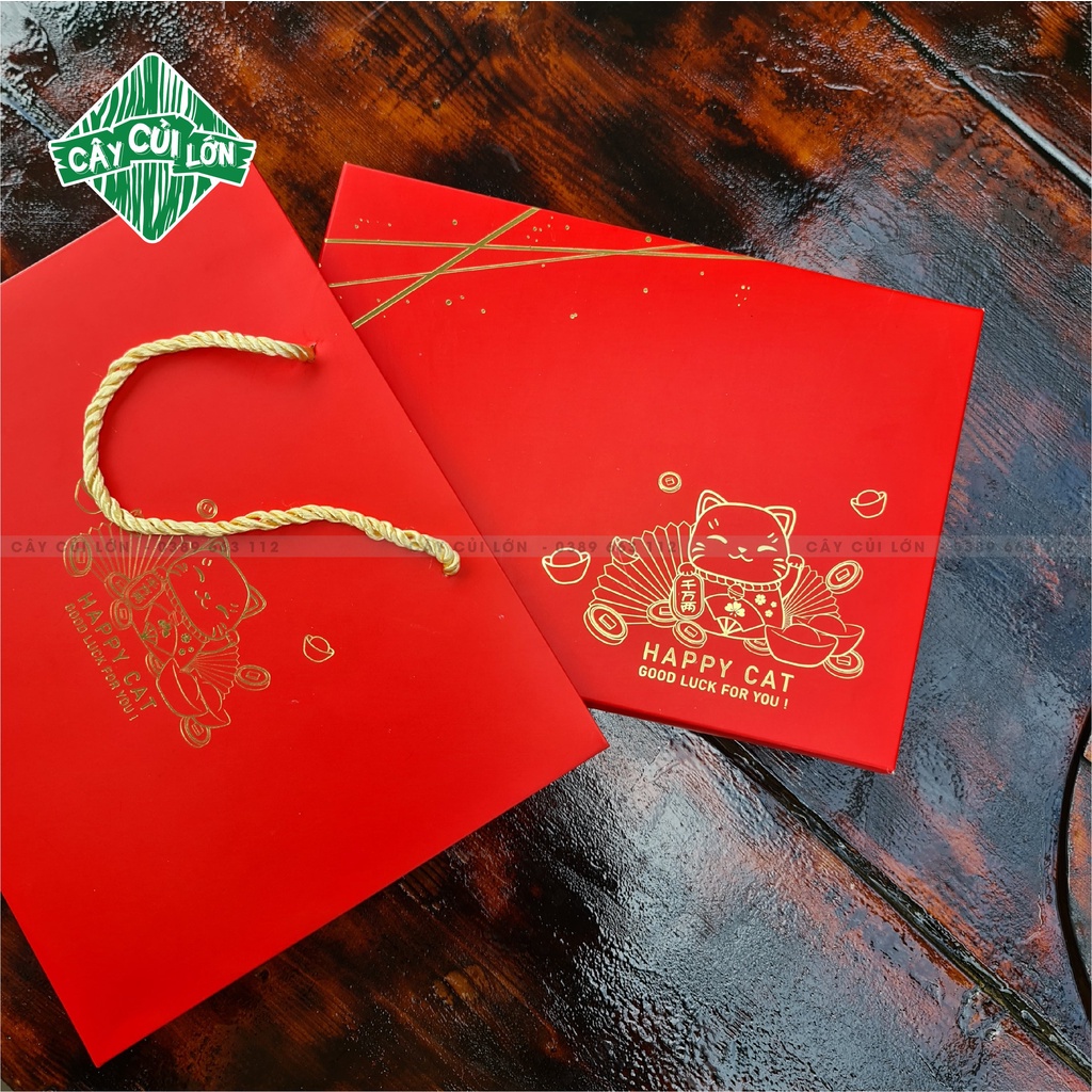 BỘ HỘP LUCKY CAT ĐỎ