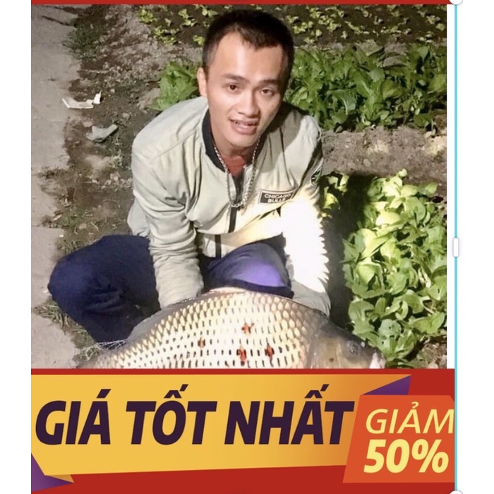 Mồi câu cá đen chép trắm trắng