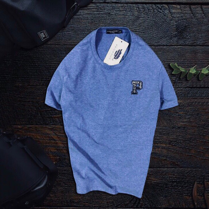 Áo thun nam cổ tròn PEGASUS cao cấp KENSTORE89 ATP062 | BigBuy360 - bigbuy360.vn