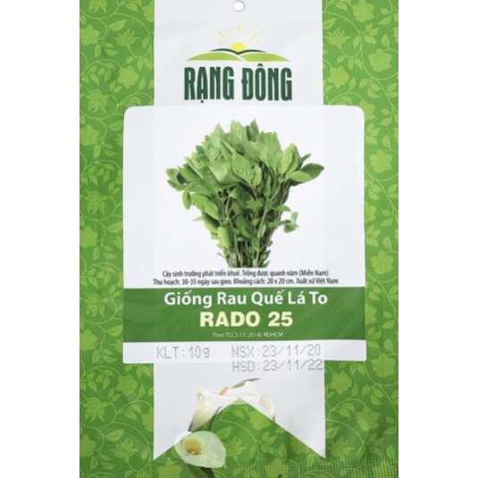 Hạt Giống húng quế Rado 25