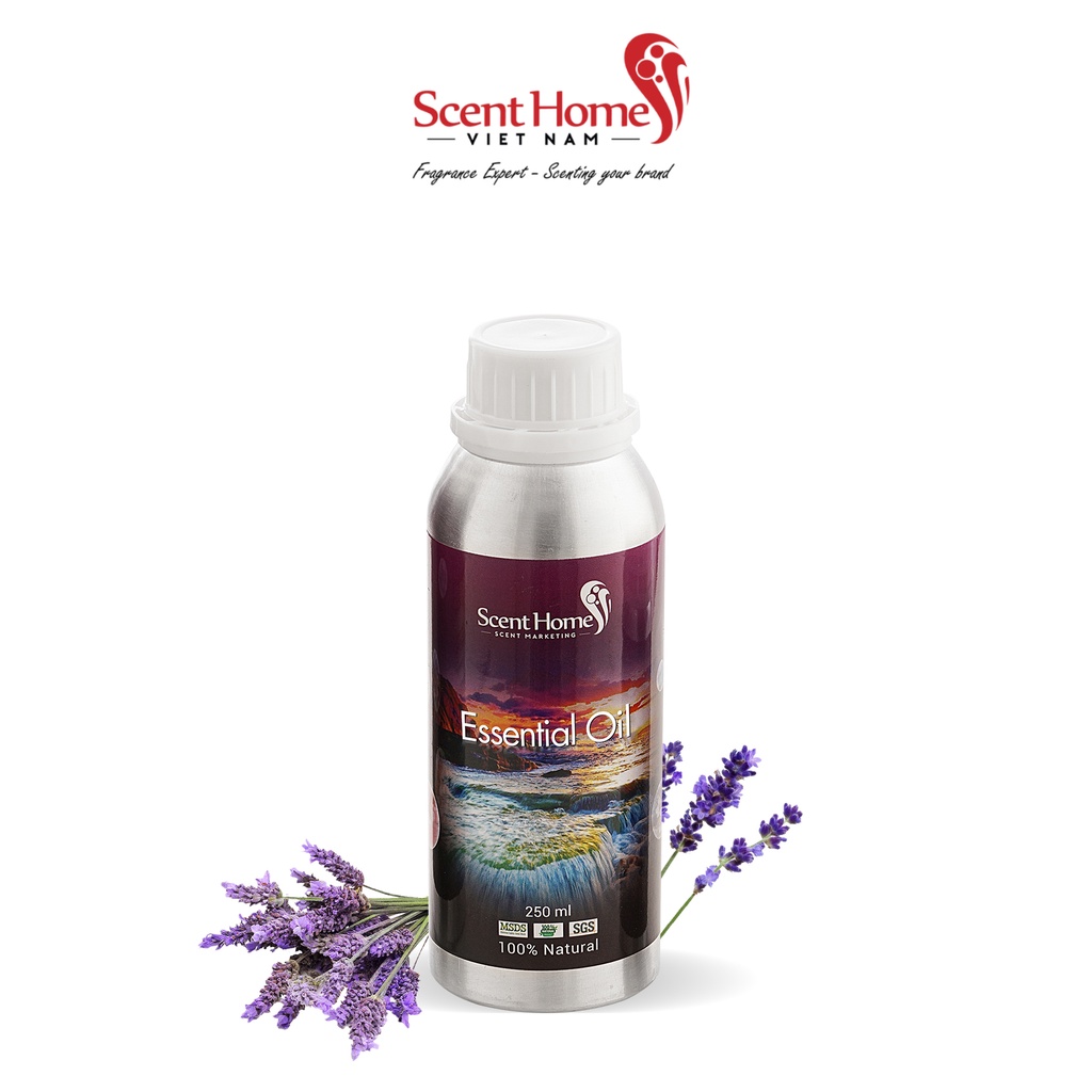 [Chính hãng] Tinh dầu Lavender Classic - ScentHomes (Lavender Classic - 50ml,100ml,250ml)