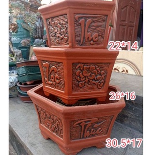Bộ 3 chậu lục giác