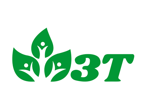 3T