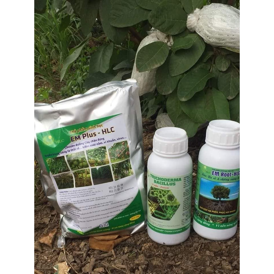 Chế phẩm sinh học TRICHODERMA - BACILLUS HLC