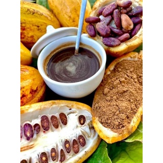 BỘT CACAO NGUYÊN CHẤT ĐẮK LẮK