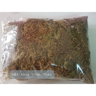rêu rừng trồng lan