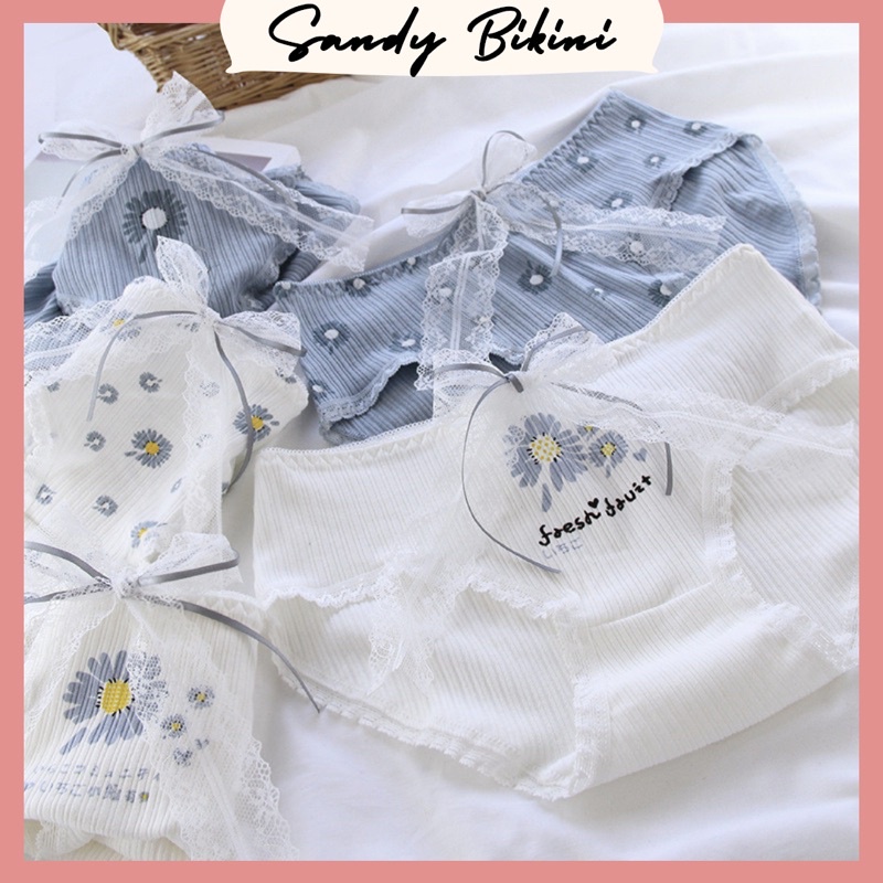 QUẦN LÓT NỮ COTTON CÚC HOẠ MI CO GIÃN SIÊU XINH