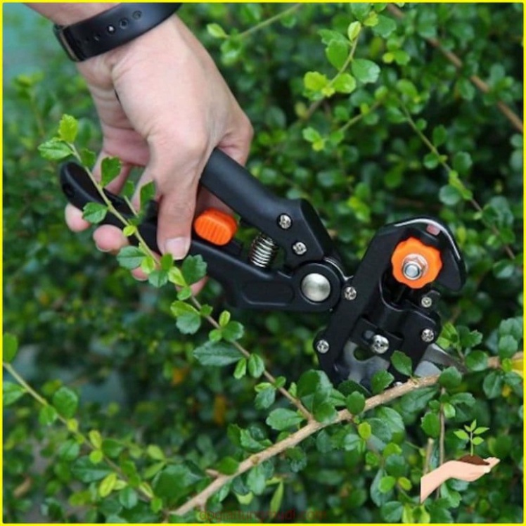 Kéo cắt ghép cây , kéo chiết cành, Kìm cắt chiết mắt ghép cây (loại 1)