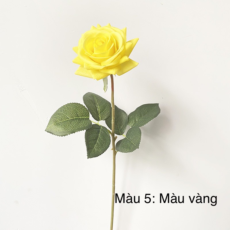 Hoa giả | HOA HỒNG LỤA PATTAUSTIN PHỦ PHẤN SÁP LOẠI ĐẶC BIỆT GIỐNG THẬT