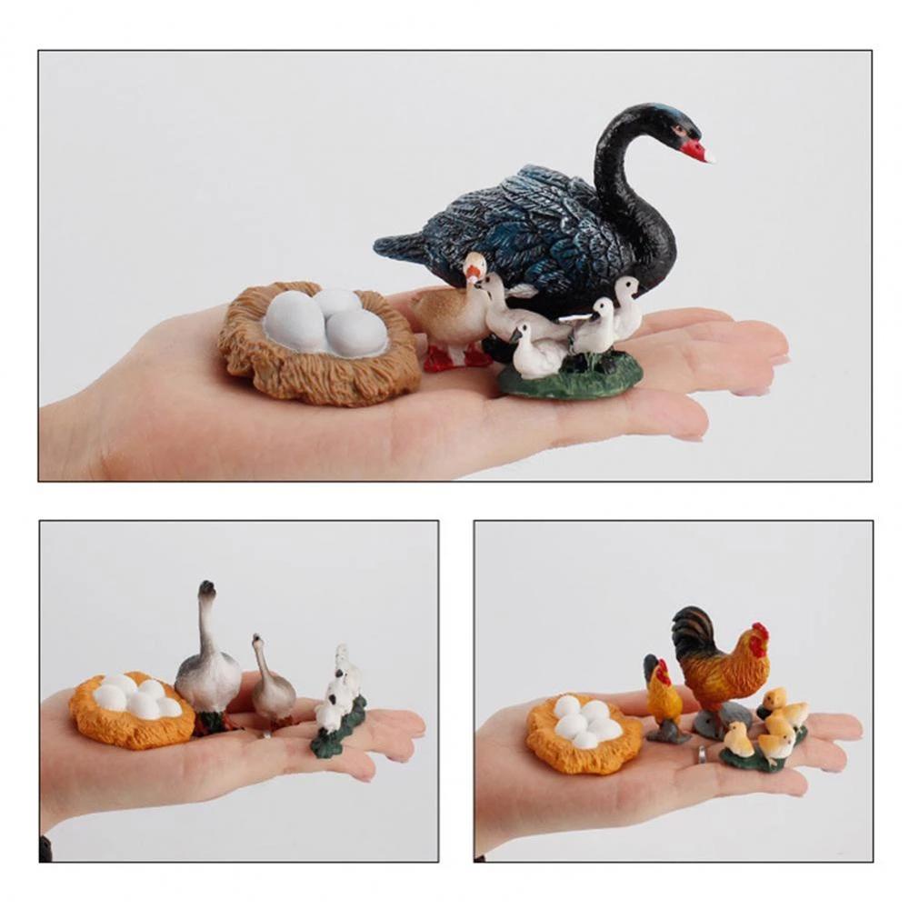 Mô Hình Đồ Chơi Chú Vịt Tăng Trưởng Chu Kỳ Sống Của Trẻ REBUY1