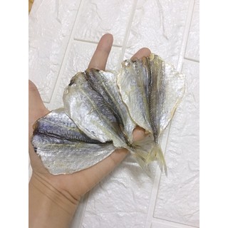 Cá chỉ vàng to dày mình - 1 con