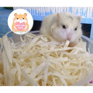 Cá sợi cho Hamster