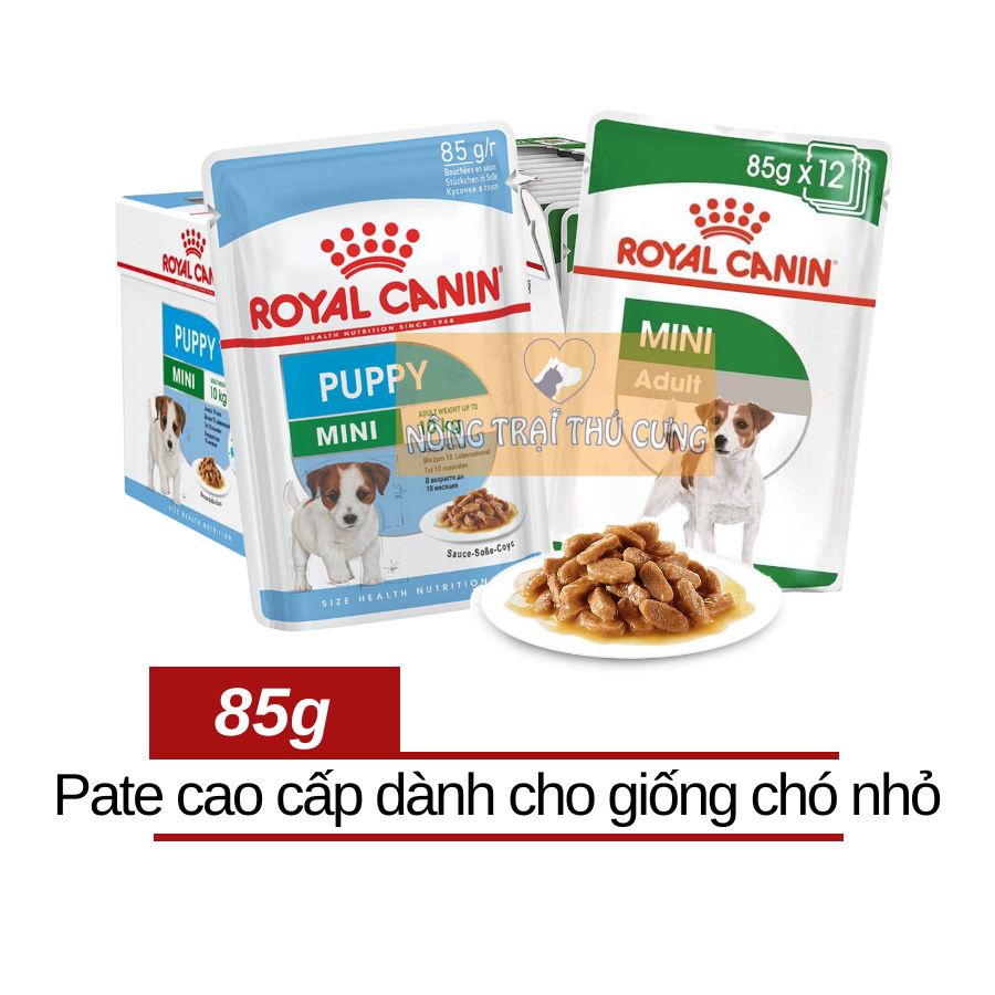 Pate Royal Canin Mini Adult - Mini Puppy Cho Giống Chó Nhỏ Poodle, Chihuahua, Phốc sóc,...