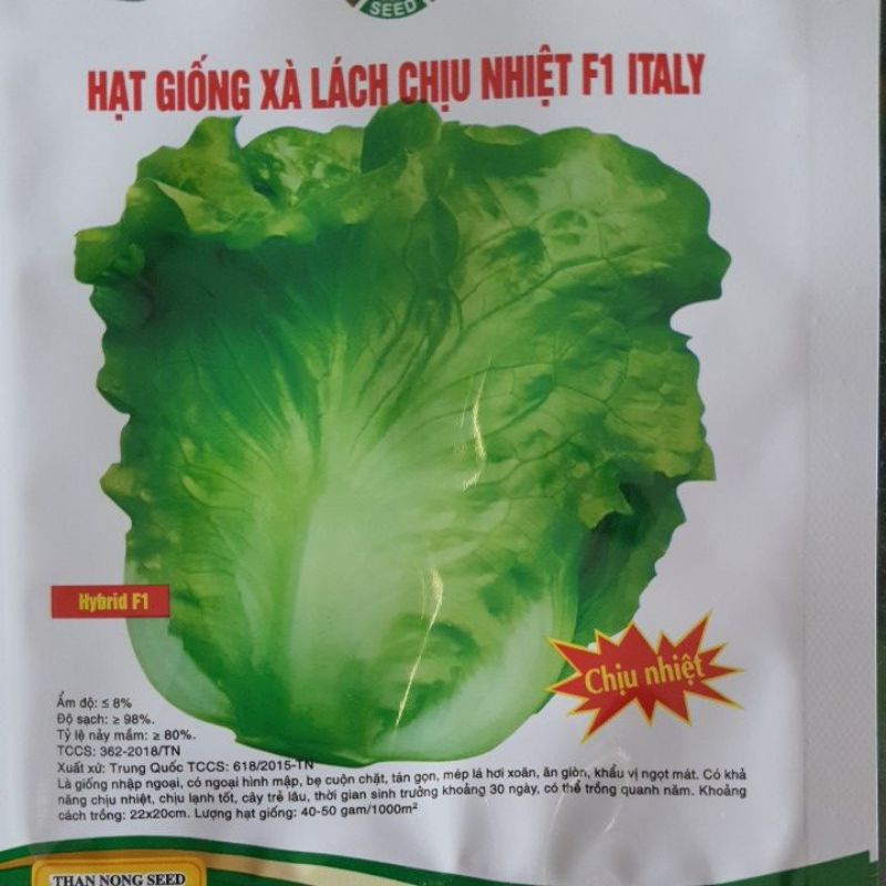 Hạt Giống Xà Lách Chịu Nhiệt ITALY