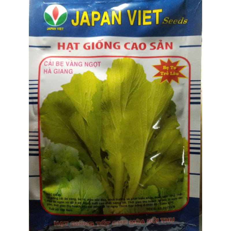 hạt giống cây rau cải bẹ vàng ngọt hà giang 20gr