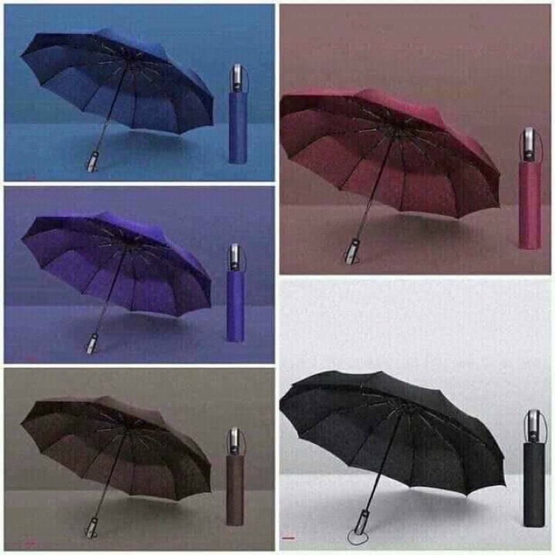 Ô gấp tự động 2 chiều xuất nhật 10 nan