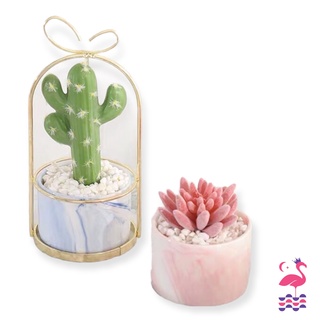 Hộp Đựng Mứt Ấm Gift Decor Nhựa PP Trang Trí Bàn Phòng Khách