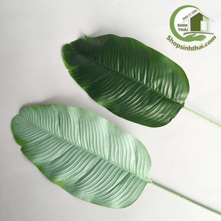 Lá chuối giả - phụ kiện lá cây trang trí chụp hình ảnh sản phẩm - màu xanh đậm