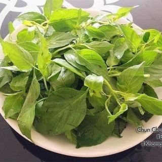 Combo 5 gói Hạt Giống rau thơm é sả