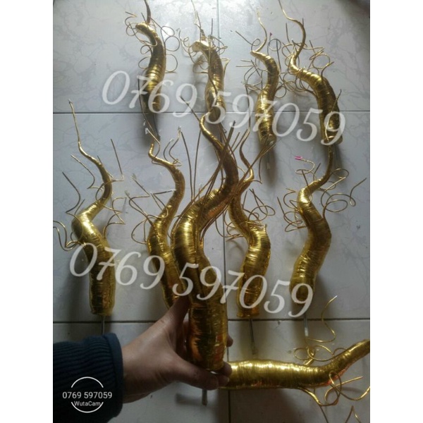Gốc Vàng làm cây Kim Tiền